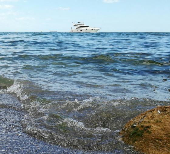 Приезжайте  на море в Одессу( пляж Лузановка,лиман Куяльник-бесплатно)