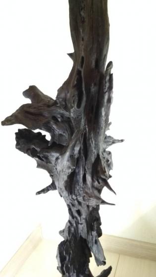 Абстрактная фигура из ствола сосны