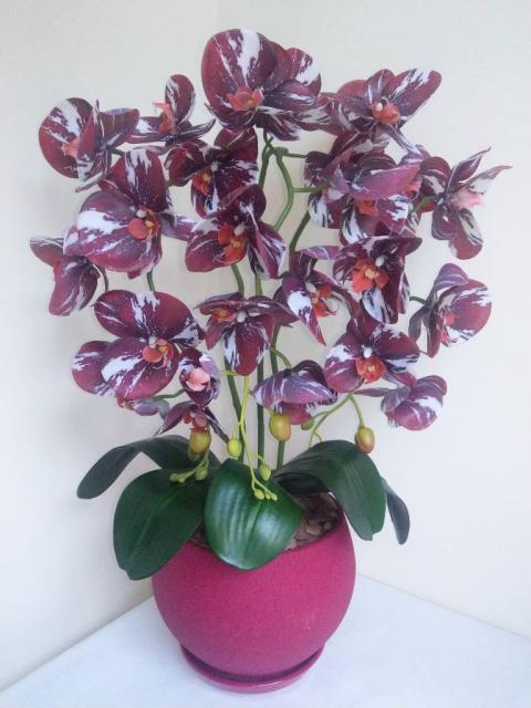 Латексні орхідеї