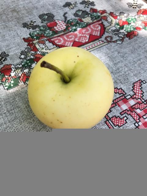 Яблоки «Белый налив»