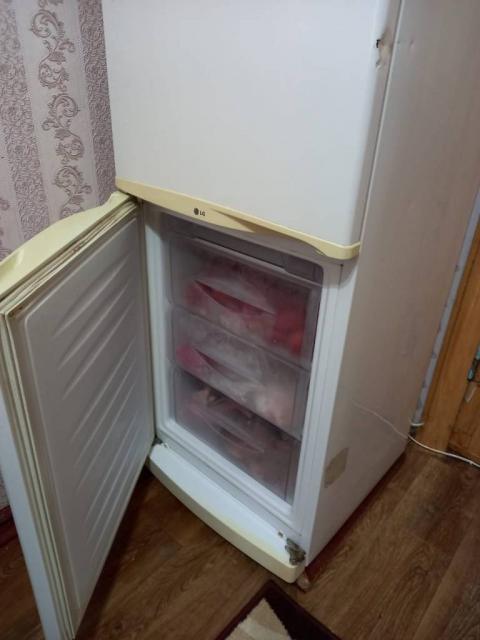 холодильник LzG