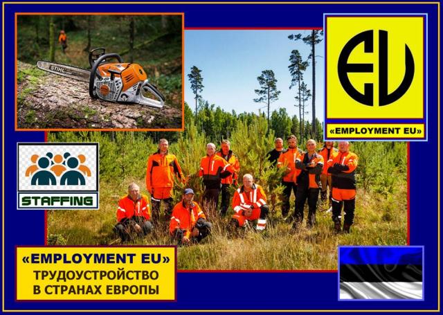 Срочная вакансия на работы по очистке леса, в Эстонию. Оплата до 1600€ в месяц, и выше.