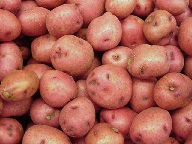 Продажа картофеля (Словянка)