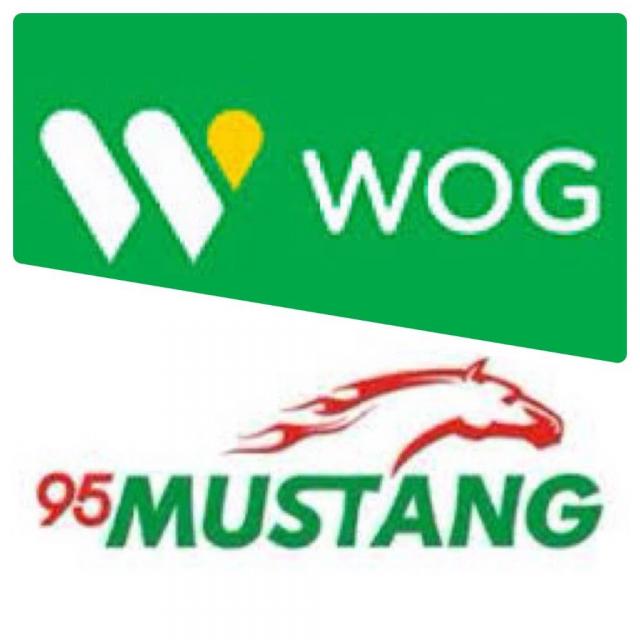 Качественный бензин Wog MUSTANG 95