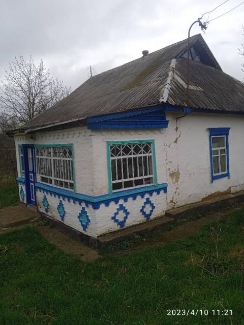 Продам будинок в селі васильків