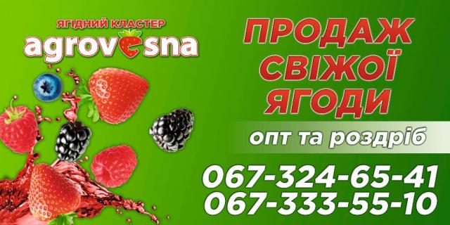 Пропонуємо якісну, сертифіковану ягоду оптом