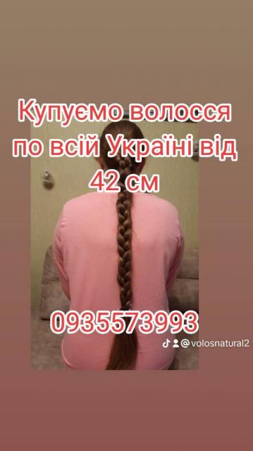 Продать волосы, продати волося по всій Україні від 42 см -0935573993