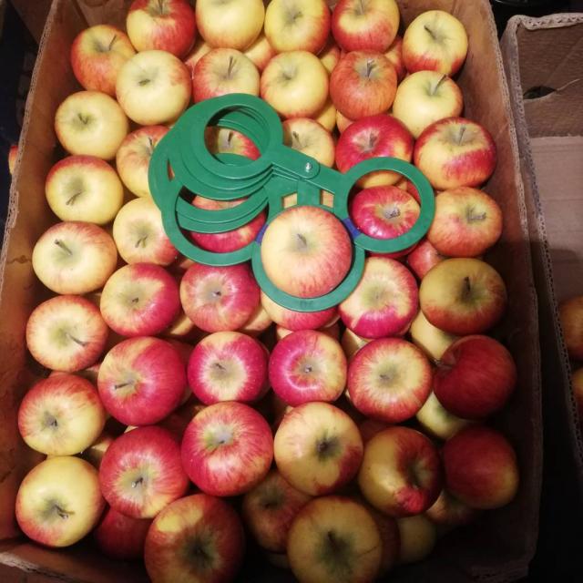Продам яблука сортів: Ред Джонапринц, Джонаголд Декоста, Топаз, Еліза, Фуджі, Лігольд. Всього 2 тони