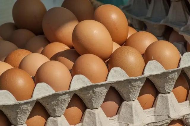 Куриные яйца ОПТ