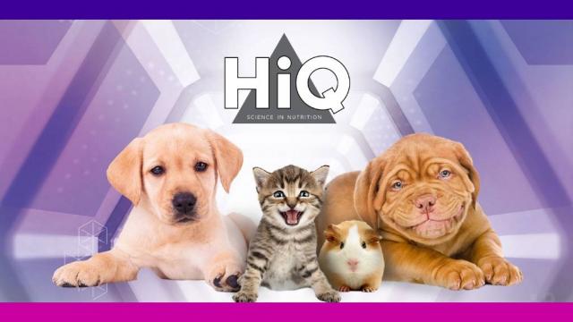 HIQ (Хай К'ю) Корм СУПЕР-ПРЕМІУМ класу для собак та котів з мікроелементом Nano Agent та кокосовим маслом.
