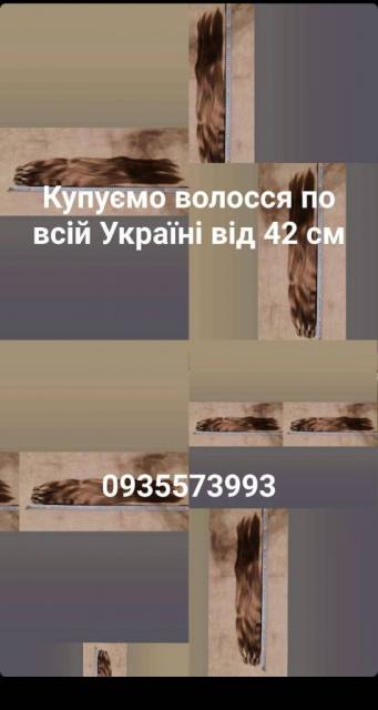 Продать волосся Київ та по всій Україні від 42 см -0935573993