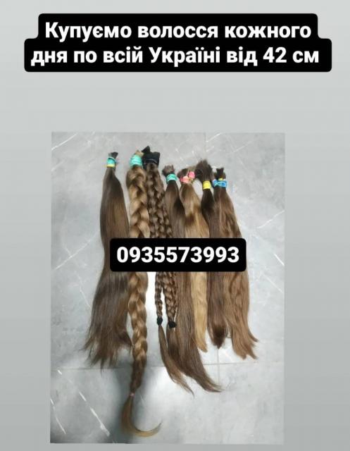 Продать волосы по всій Україні від 42 см -0935573993