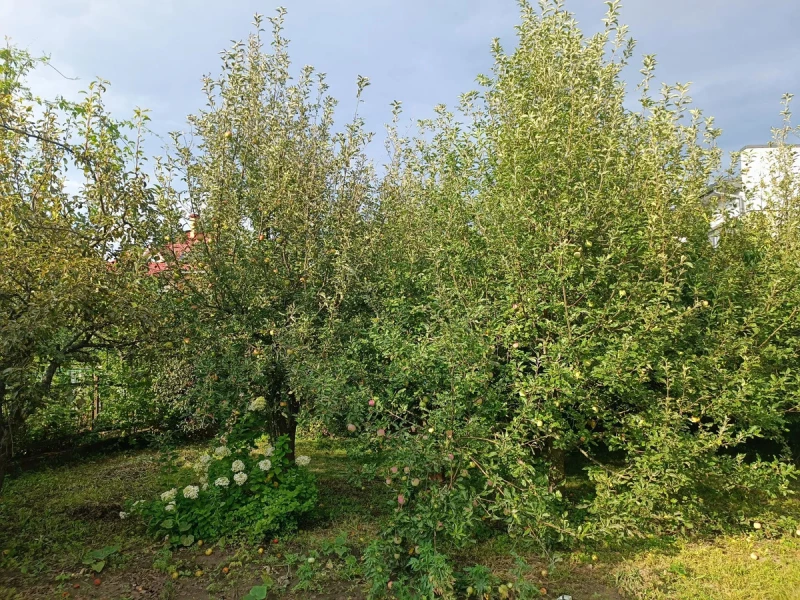 Будинок продаж Гатне – 450 м², Гатное — 13/15