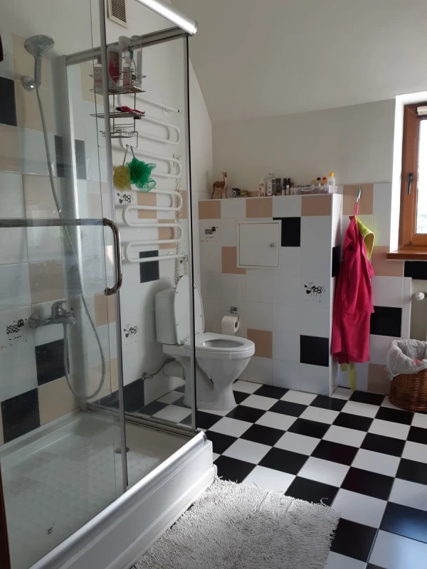 Будинок продаж Петропавлівська Борщагівка – 410 м², Петропавлівська Борщагівка — 9/10