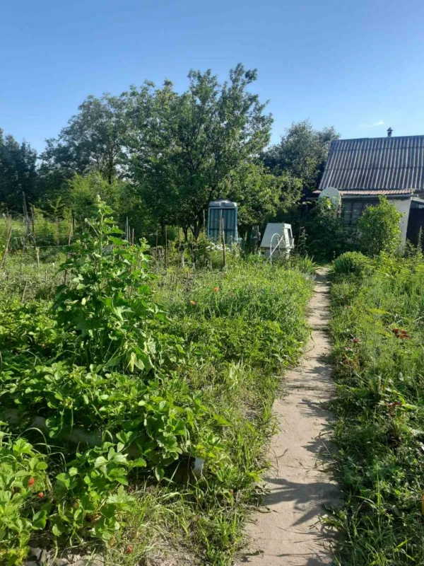 Дача з садибою 10-соток й 2 дод. діл. горіховою, і звичайною, Хмельницький — 3/8
