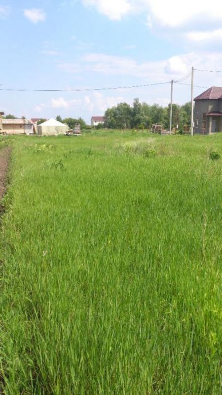 Земельна ділянка продаж Бориспіль, Бориспіль — 4/5