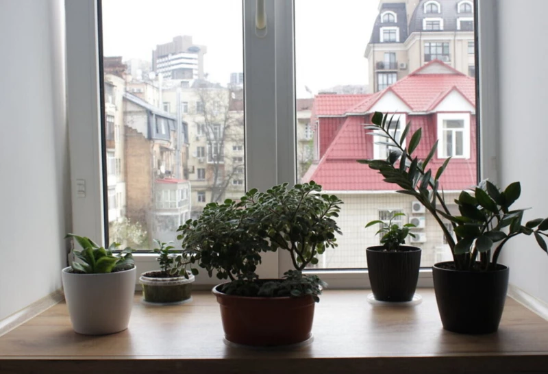 Квартира 5-кімн. продаж Київ, Шевченковский – 76 м², Київ — 11/15