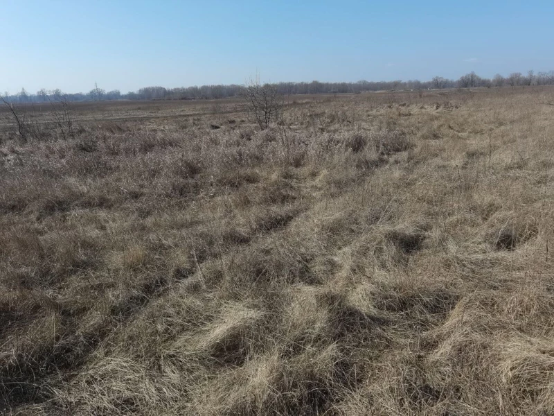 Земельна ділянка продаж Погреби, Погреби — 5/11