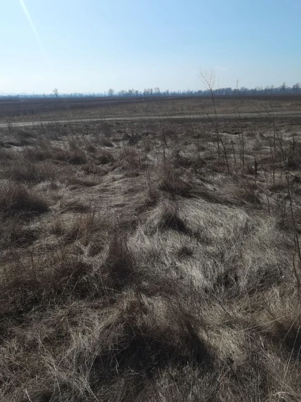 Земельна ділянка продаж Погреби, Погреби — 7/11