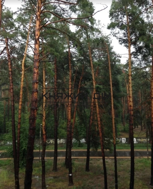 Квартира 2-кімн. продаж Ірпінь – 31 м², Ирпень — 11/11