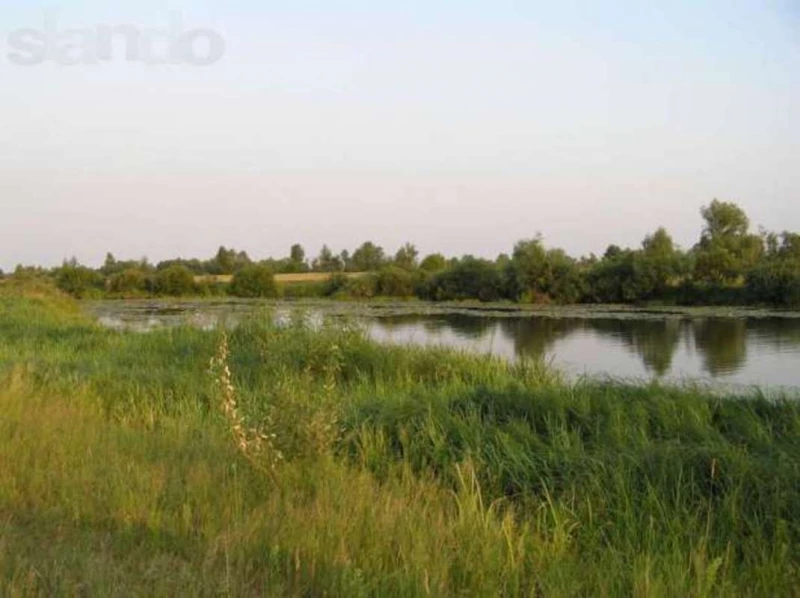 Земельна ділянка продаж Жереб’ятин, Жереб’ятин — 4/4