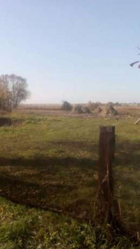 Земельна ділянка продаж Рогозів, Рогозів — 2/2