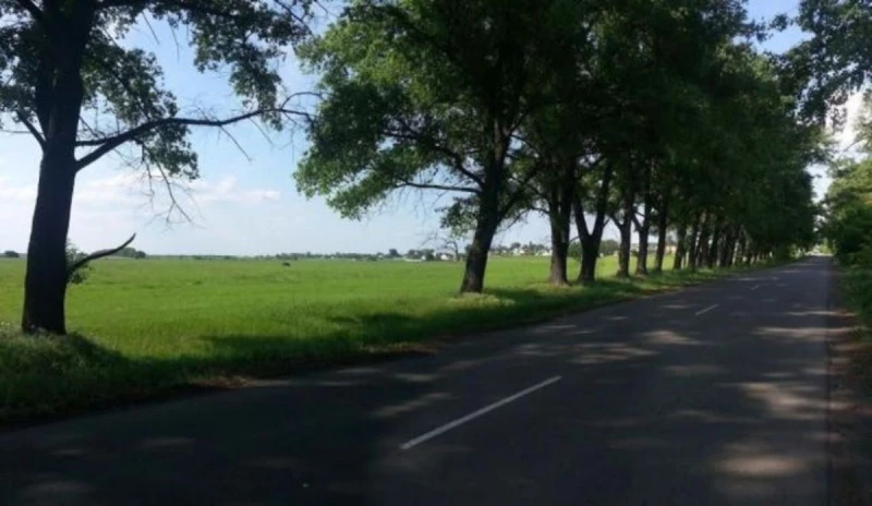 Земельна ділянка продаж Вороньків