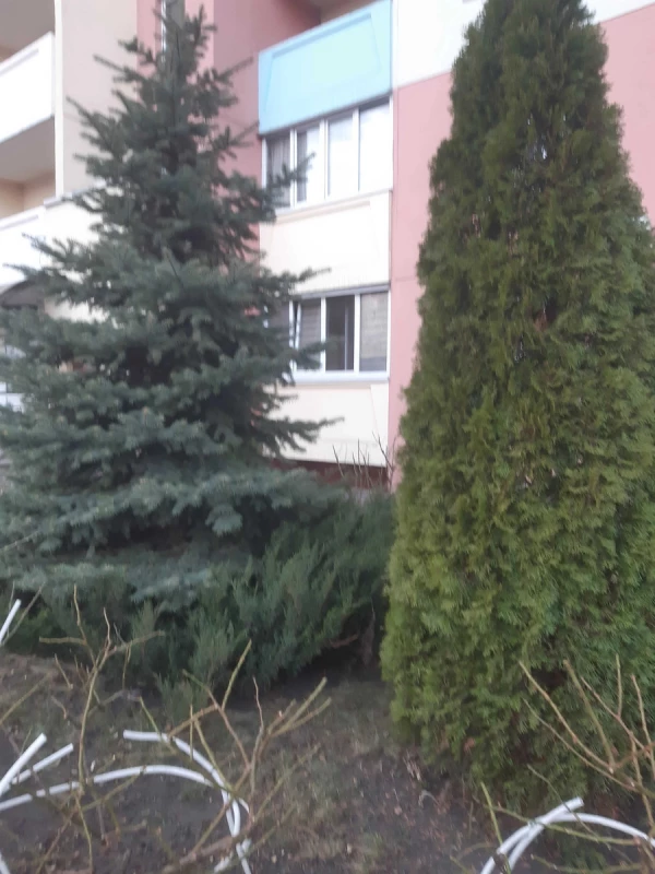Квартира 1-кімн. продаж Київ, Деснянский – 18 м², Киев — 13/15