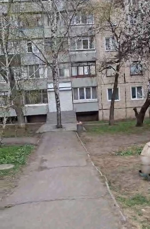 Комерційна нерухомість – 62 м², Кривой Рог — 2/5