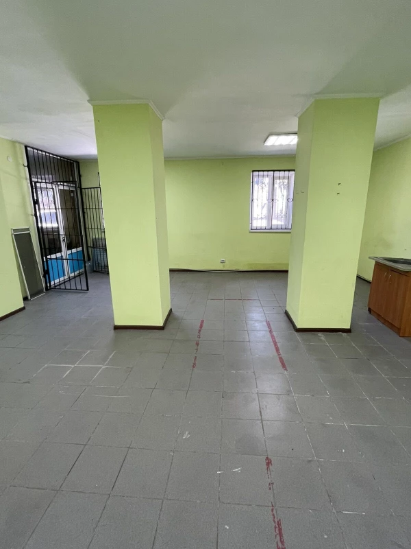Комерційна нерухомість – 45 м², Гребінка — 6/10