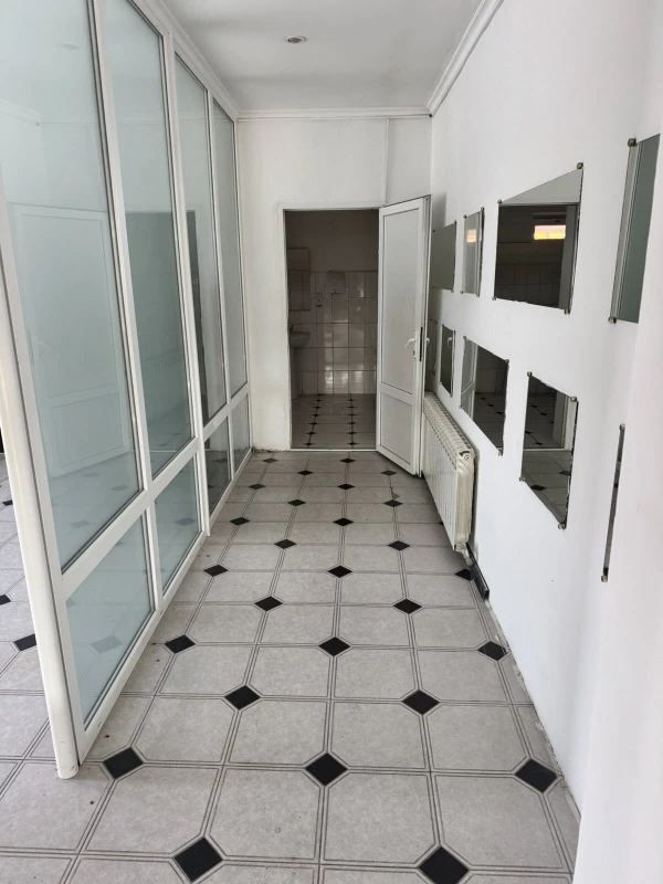Комерційна нерухомість – 250 м², Олександрія — 7/8