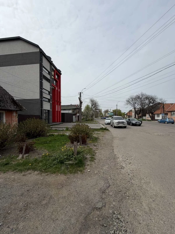 Комерційна нерухомість – 120 м², Тячів — 4/10