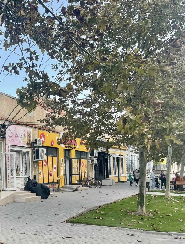 Комерційна нерухомість – 150 м², Кілія — 2/8