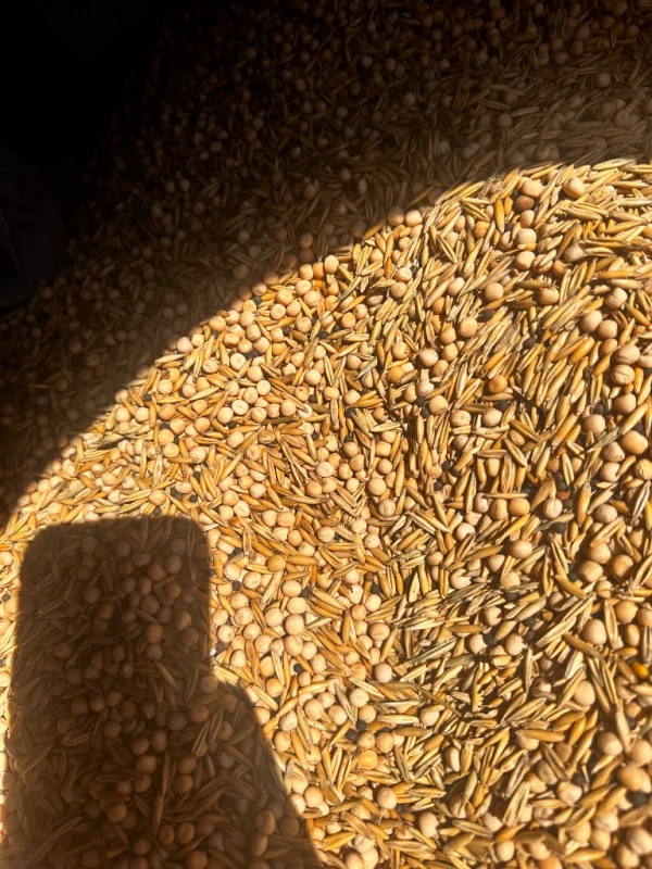 Продам суміш сидератну азотну
