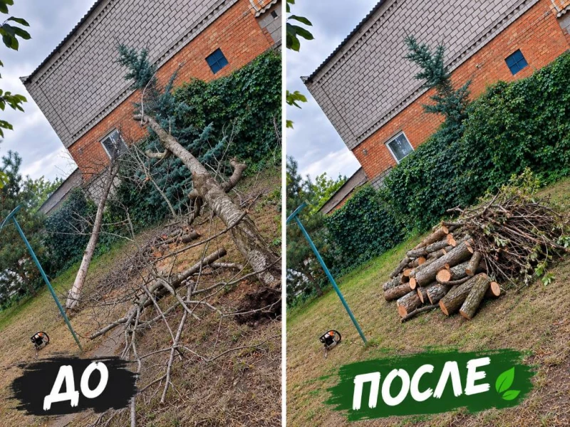 🌿 Наведемо лад у вашому дворі Швидко та якісно.  Пропонуємо послуги з благоустрою та прибирання присадибних ділянок. Перетворимо ваші джунглі на охайний двір