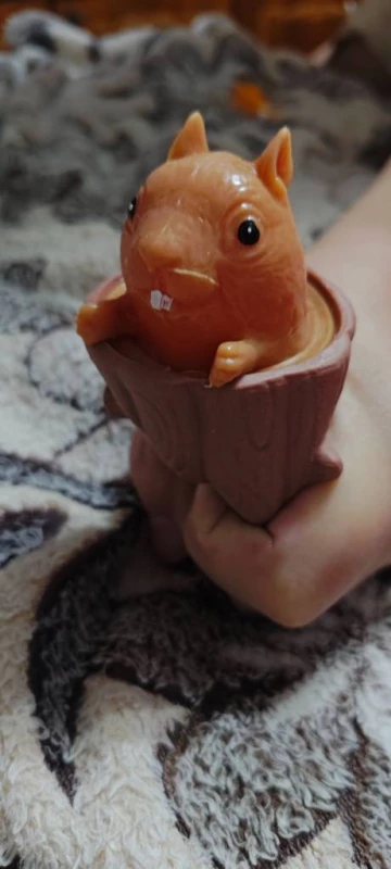 🐿️ Вистрибувальна білка — 70 грн Кумедна антистрес-іграшка, яка точно привертає увагу 😊 Можна замовити в повідомлення.