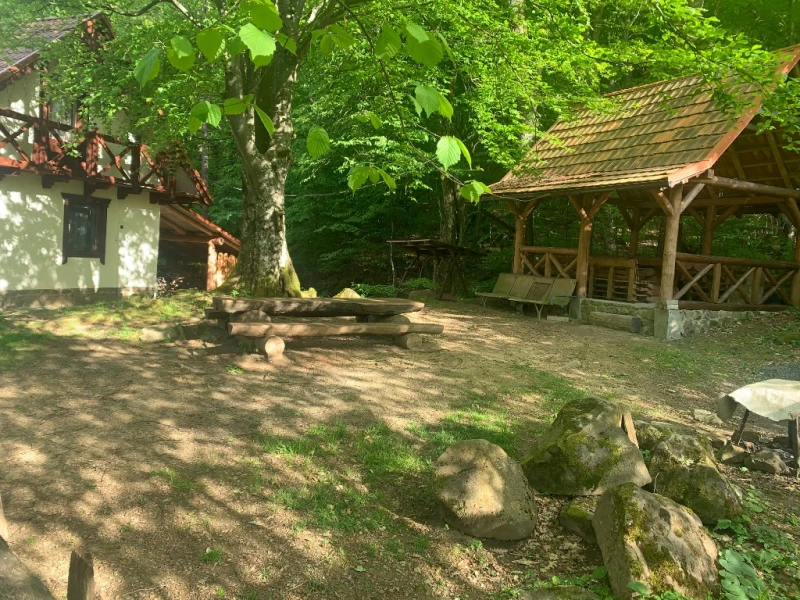 Продам котедж в курортному районі, Синяк — 3/5