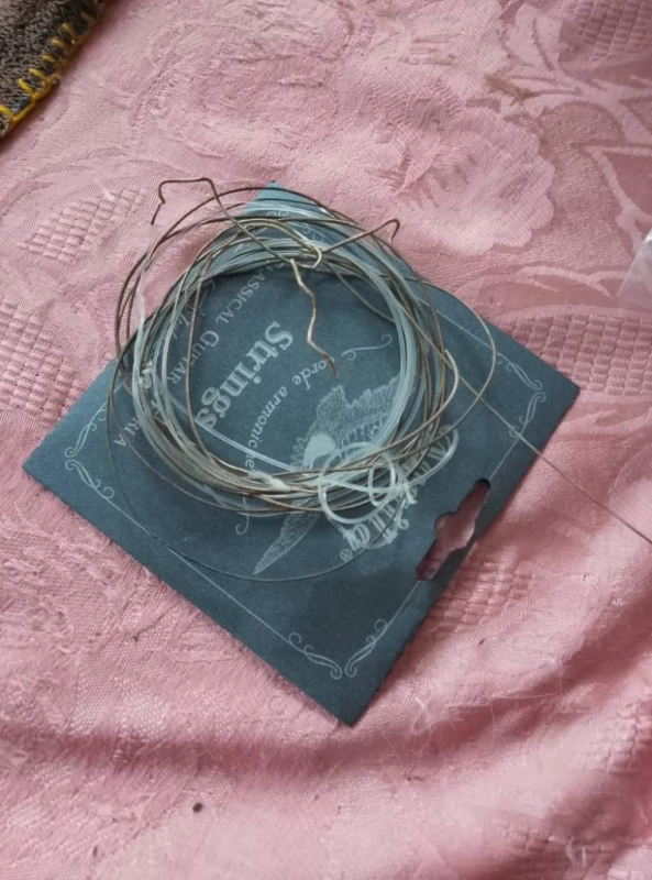 Черниговская гитара, Дніпро — 3/3