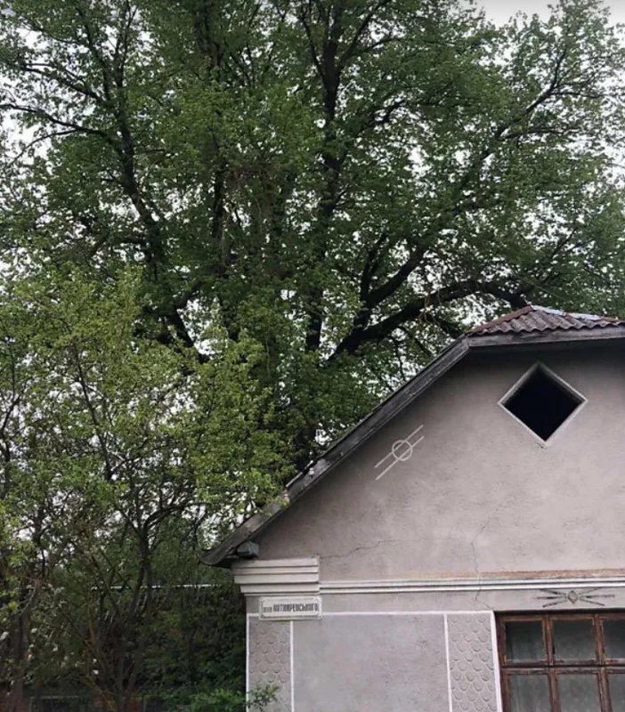 Земельна ділянка продаж Підгороднє, Подгородное — 2/6