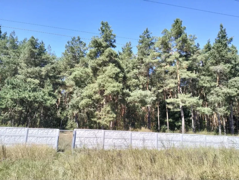 Будинок продаж Томилівка – 74 м², Томилівка — 2/13