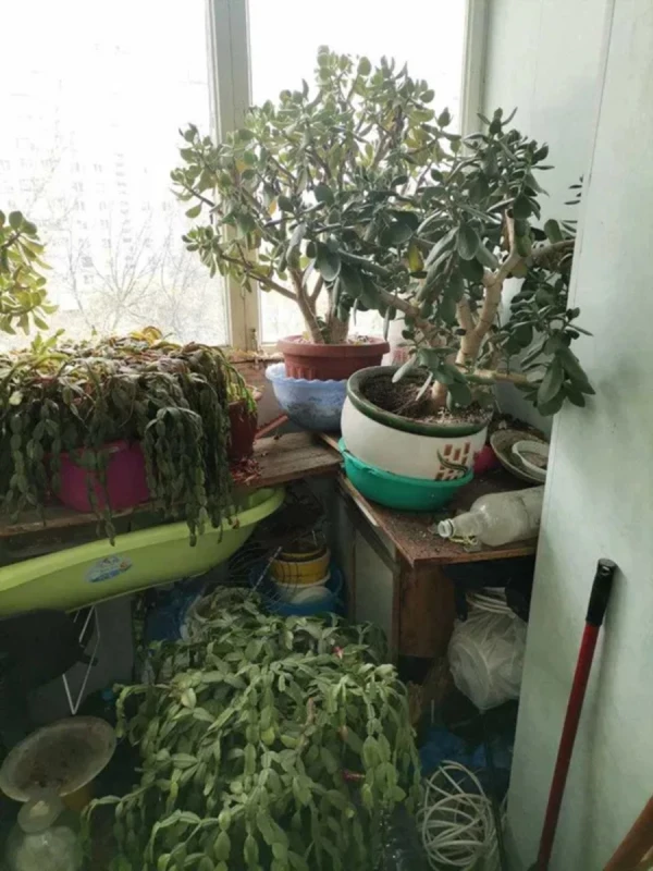 Квартира 3-кімн. продаж Харків, Немышлянский – 65 м², Харків — 6/15