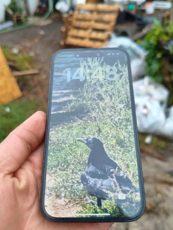 Айфрн 14 про