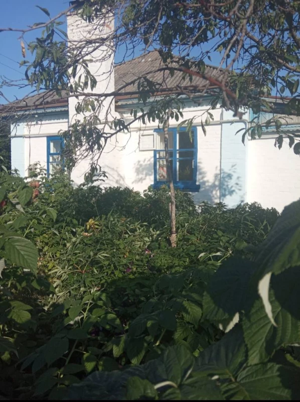 Будинок, Чернобай — 5/9