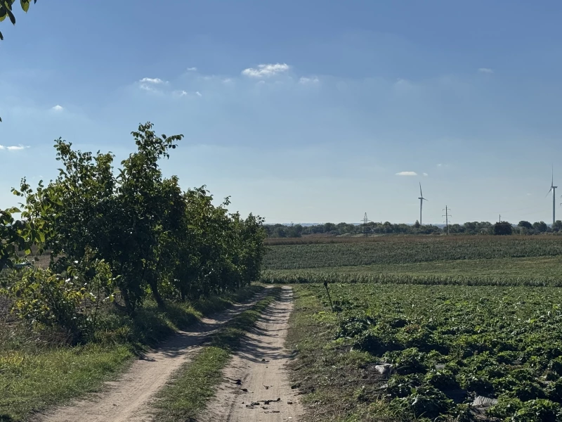 Земельна ділянка продаж Бонівка
