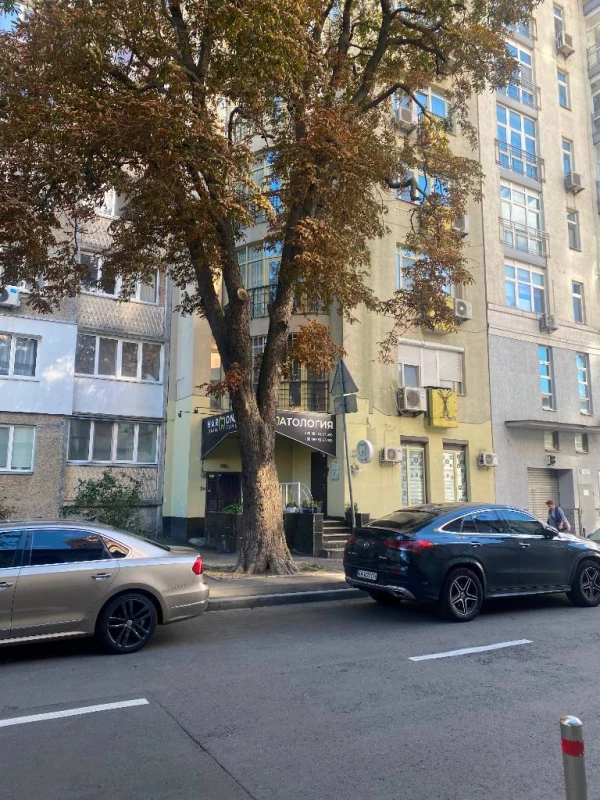 Продаж приміщення 67м2, Панаса Мирного 15, фасадний вхід, Печерськ, м. Печерська та Кловська, Київ — 2/7