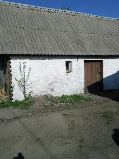 Продаж будинку в селі Рови Вишгородського району