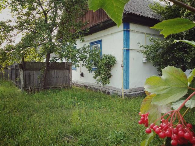 Продам будинок в селі Мигалки Бородянського р-ну Київської області