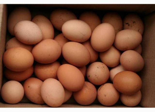 Продам яйця курячі 40 грн за 10 ток