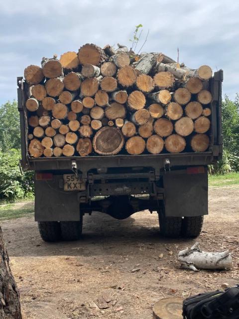 Продам дрова Васильків не дорого
