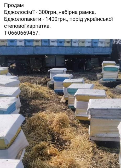 Продам бджолосім'ї,та бджолопакети. Полтавська область Карлівський район т-0660669457